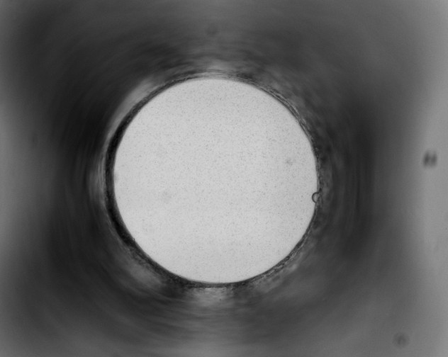 X0000103900102200810311418