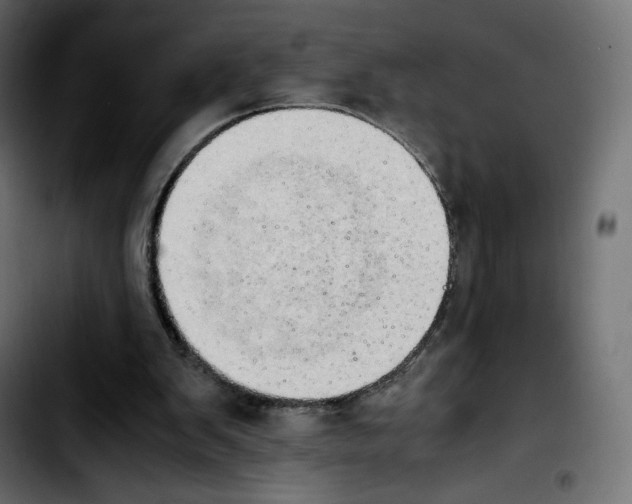 X0000103900103200810311418