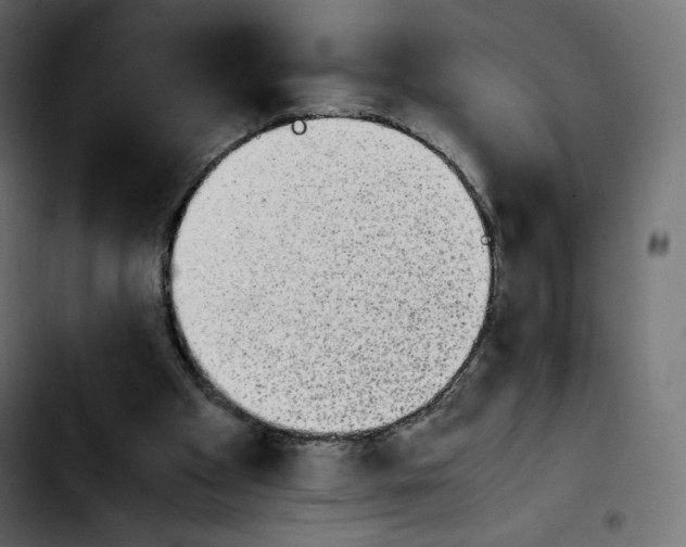 X0000103900105200810311418