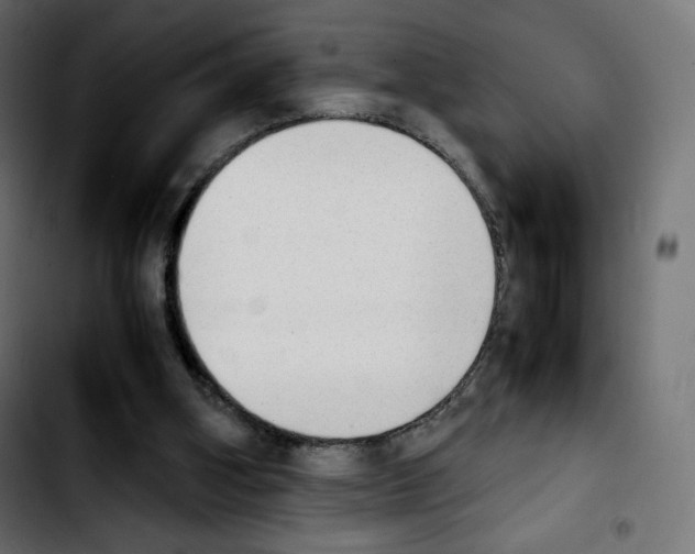 X0000103900106200810311418