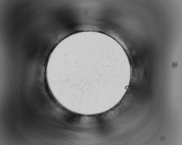 X0000103900109200810311418