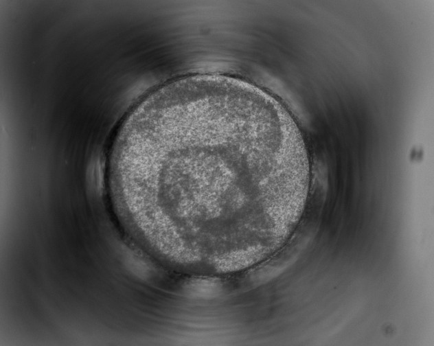 X0000103900110200810311418