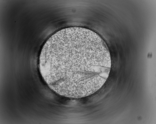 X0000103900111200810311418