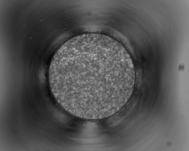 X0000103900114200810311418