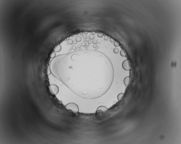 X0000103900115200810311418