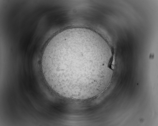 X0000103900116200810311418