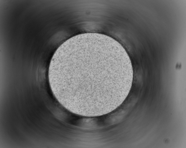 X0000103900117200810311418