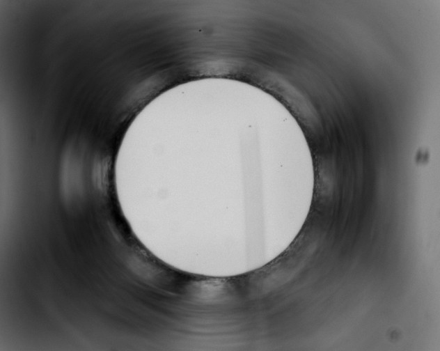 X0000103900118200810311418