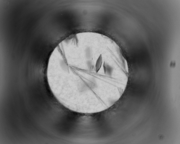 X0000103900119200810311418