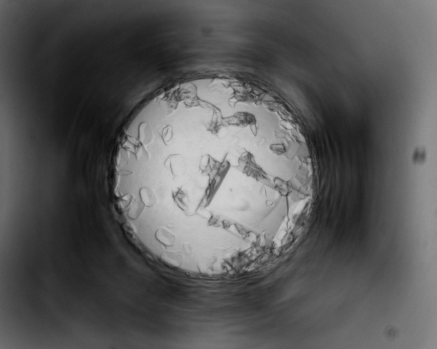 X0000103900120200810311418