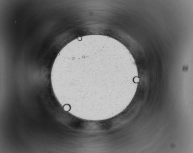 X0000103900121200810311418