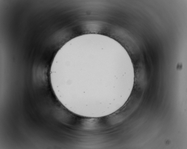 X0000103900122200810311418