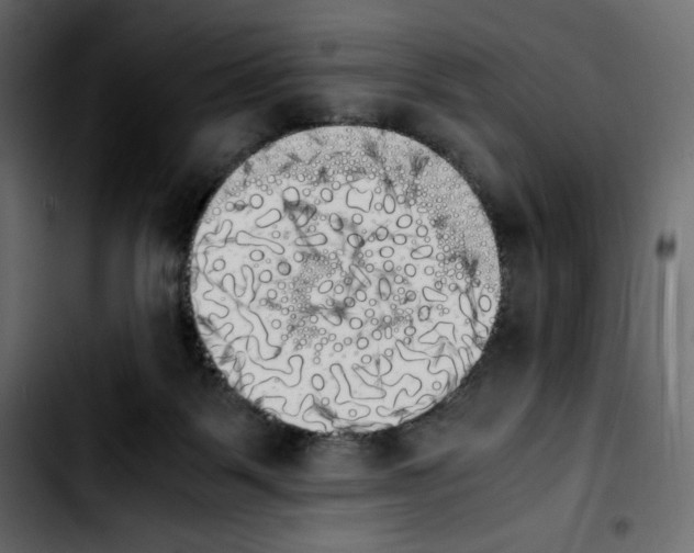 X0000103900123200810311418