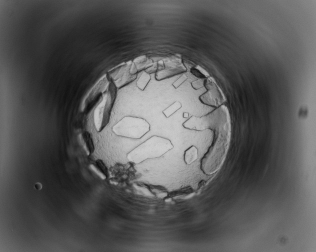 X0000103900124200810311418