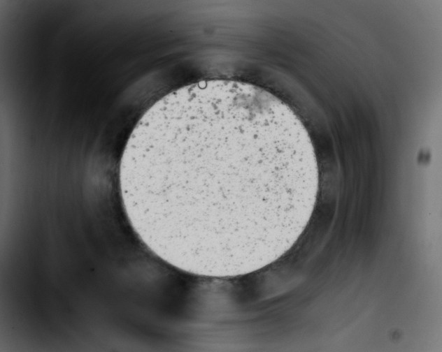 X0000103900125200810311418