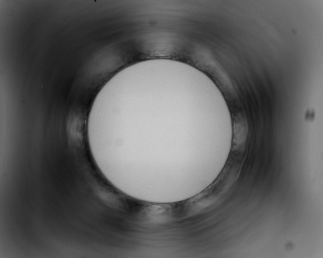 X0000103900126200810311418