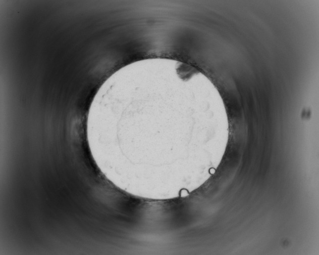 X0000103900127200810311418