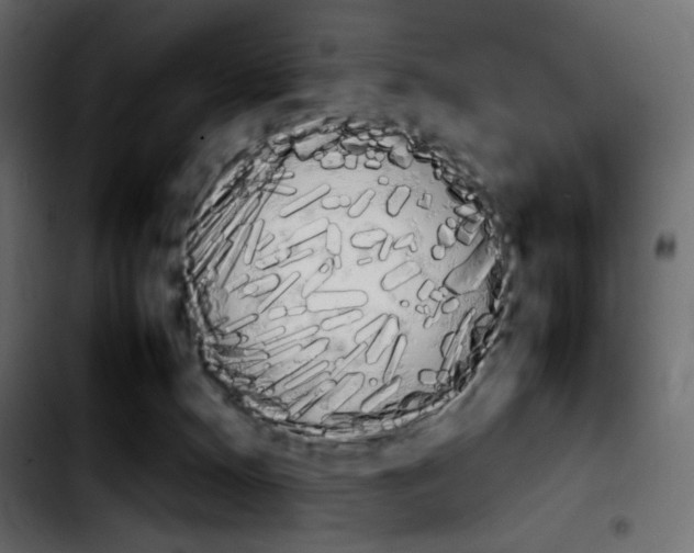 X0000103900128200810311418