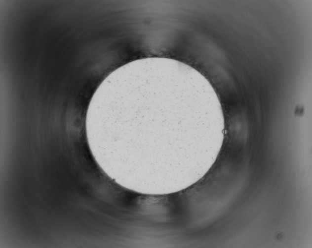 X0000103900129200810311418