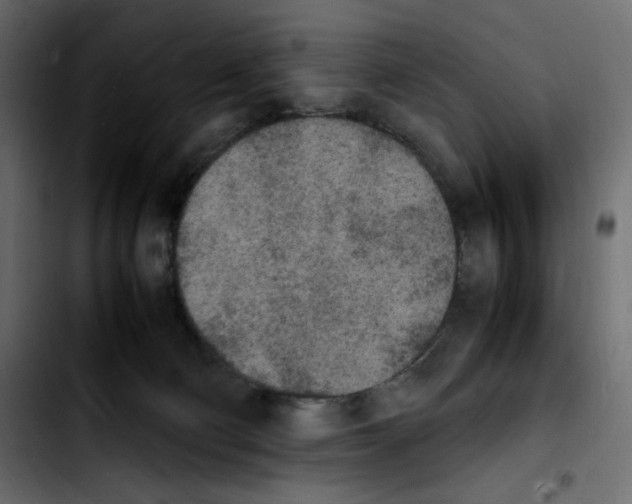 X0000103900130200810311418