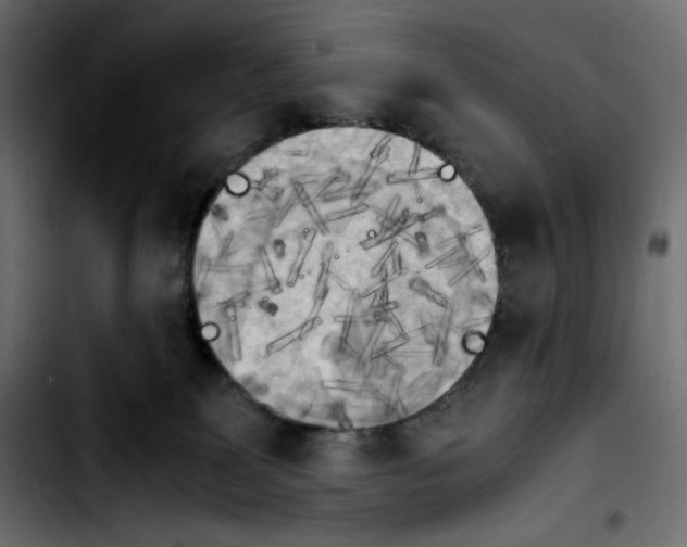 X0000103900131200810311418