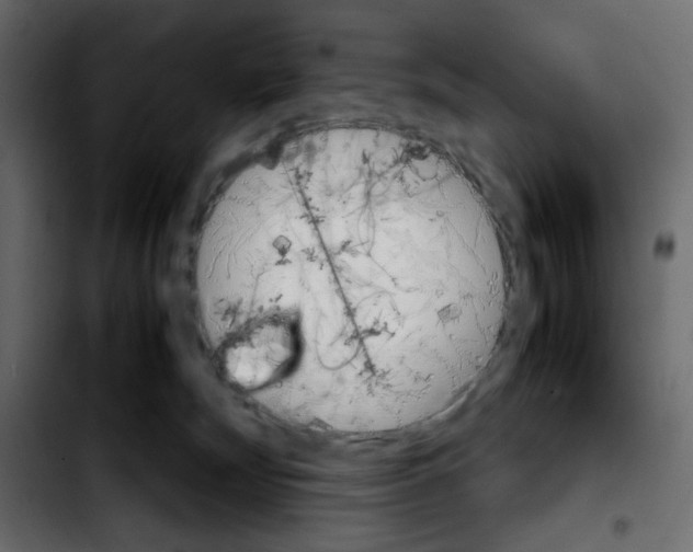 X0000103900132200810311418