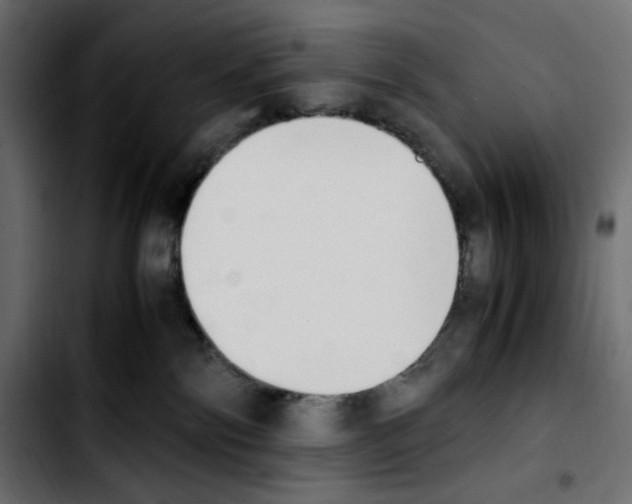 X0000103900138200810311418