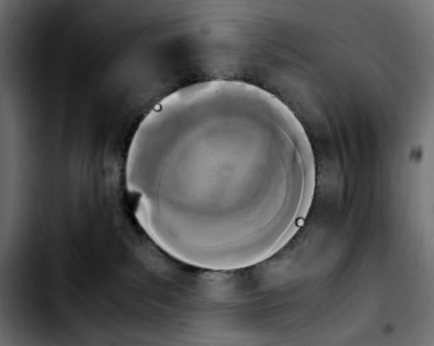 X0000103900139200810311418