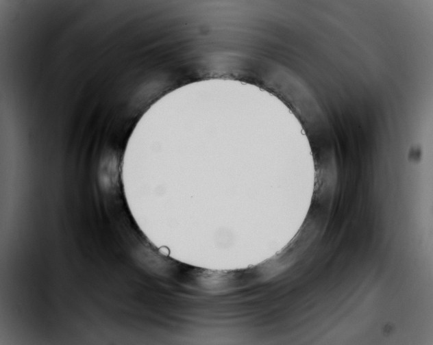 X0000103900142200810311418