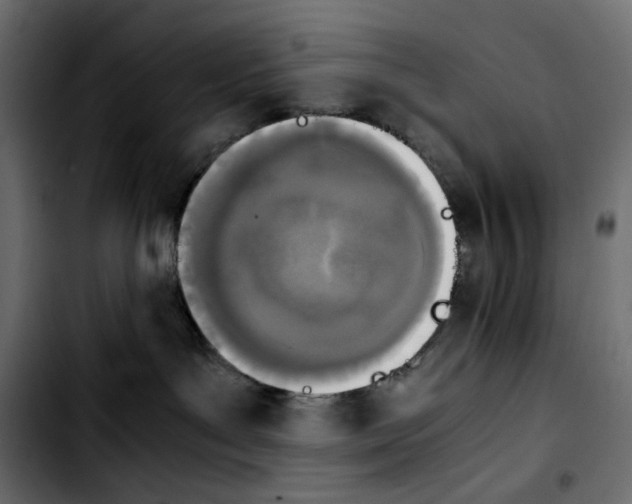 X0000103900143200810311418