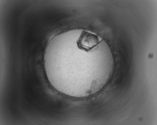 X0000103900144200810311418