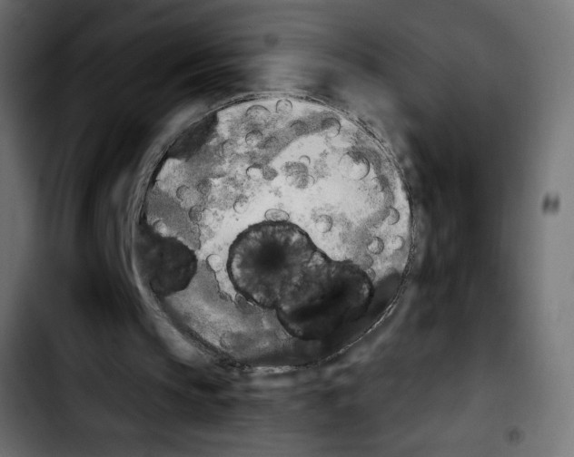 X0000103900145200810311417