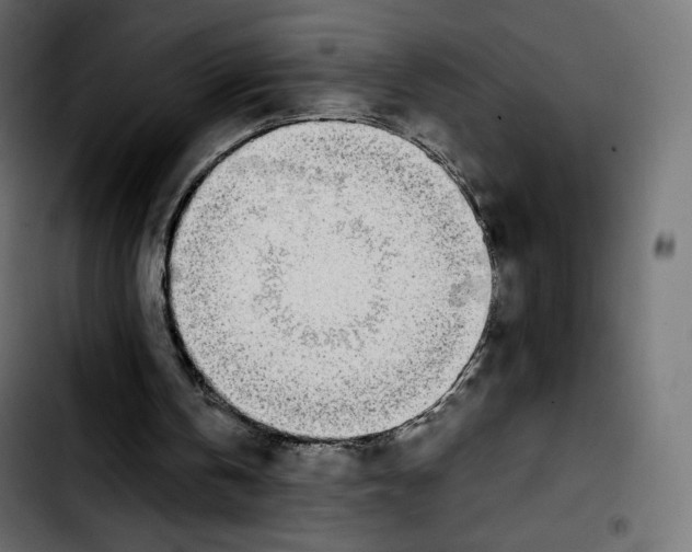 X0000103900146200810311417