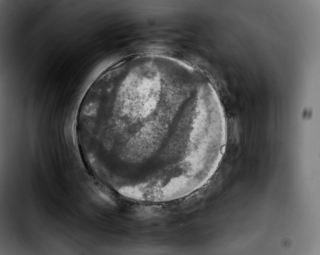 X0000103900147200810311417