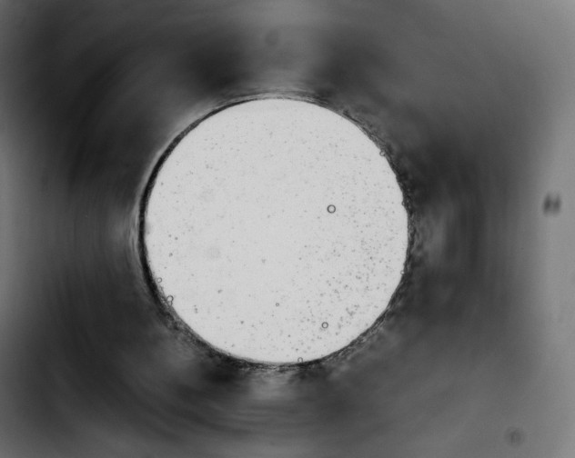 X0000103900148200810311417