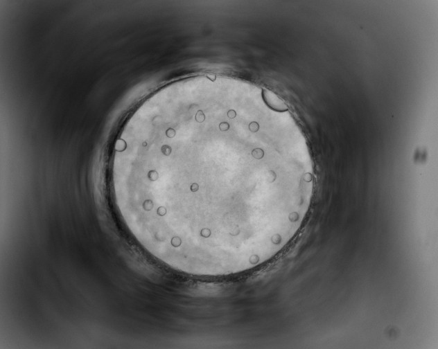 X0000103900149200810311417