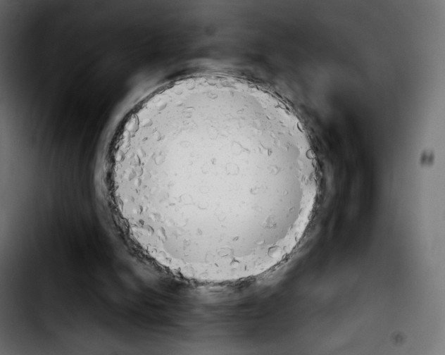 X0000103900150200810311417