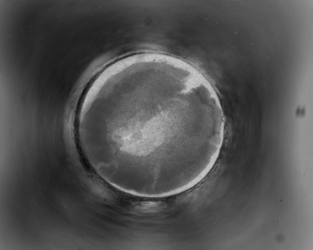 X0000103900151200810311417