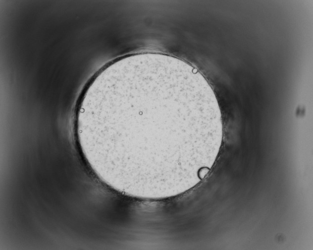 X0000103900152200810311417