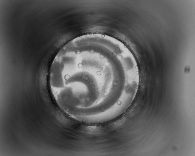 X0000103900153200810311417