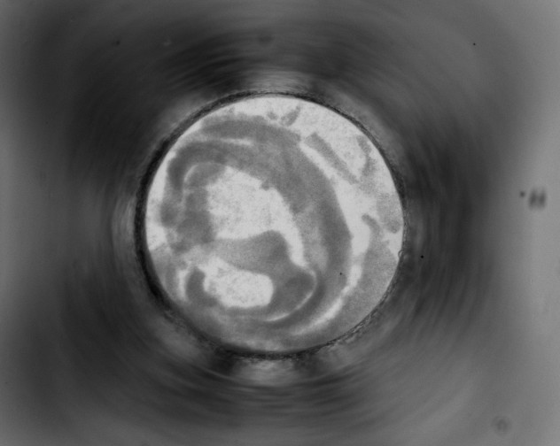 X0000103900155200810311417