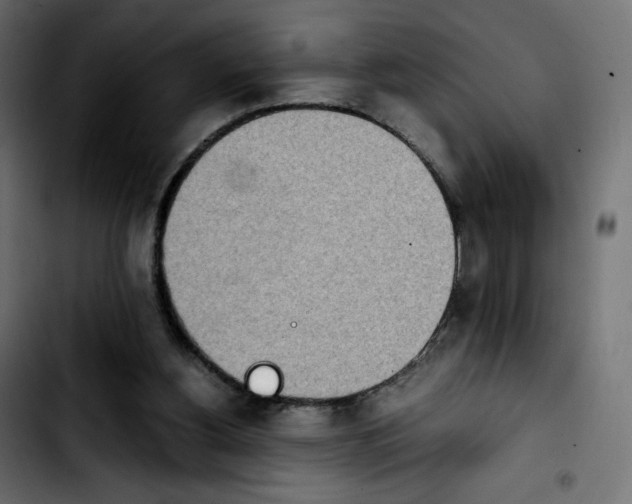 X0000103900156200810311417