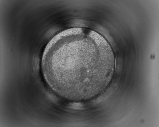 X0000103900157200810311417