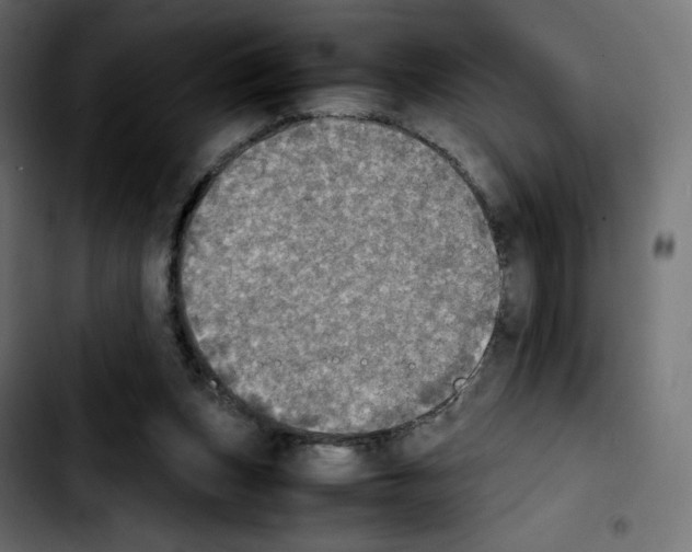 X0000103900159200810311417