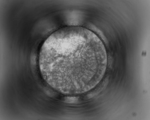 X0000103900161200810311417