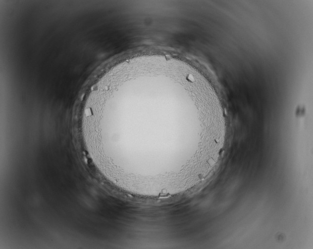 X0000103900162200810311417