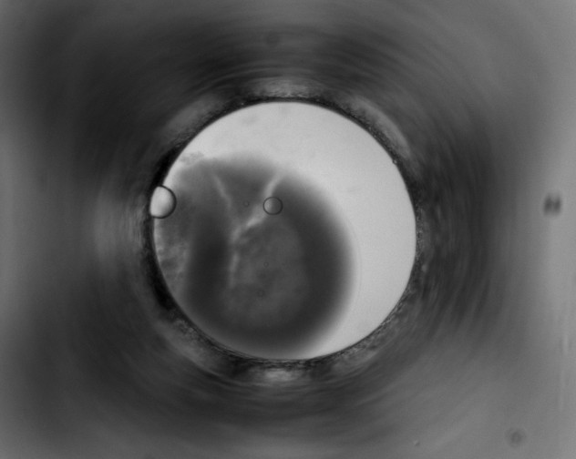 X0000103900163200810311417