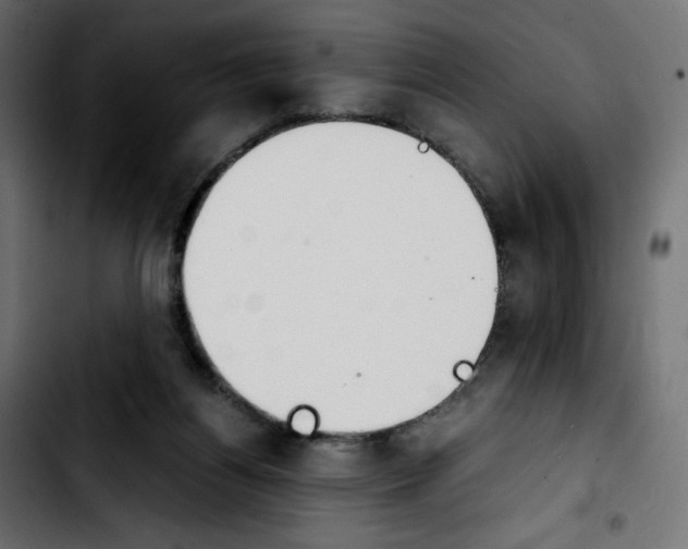 X0000103900164200810311417