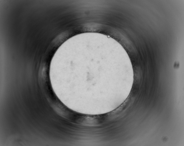 X0000103900166200810311417