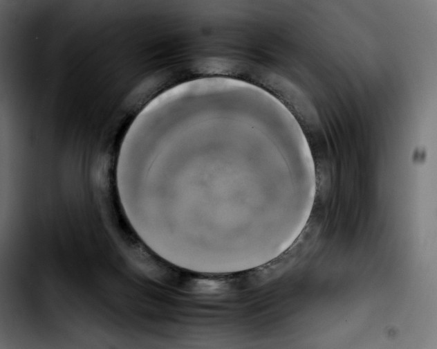 X0000103900167200810311418